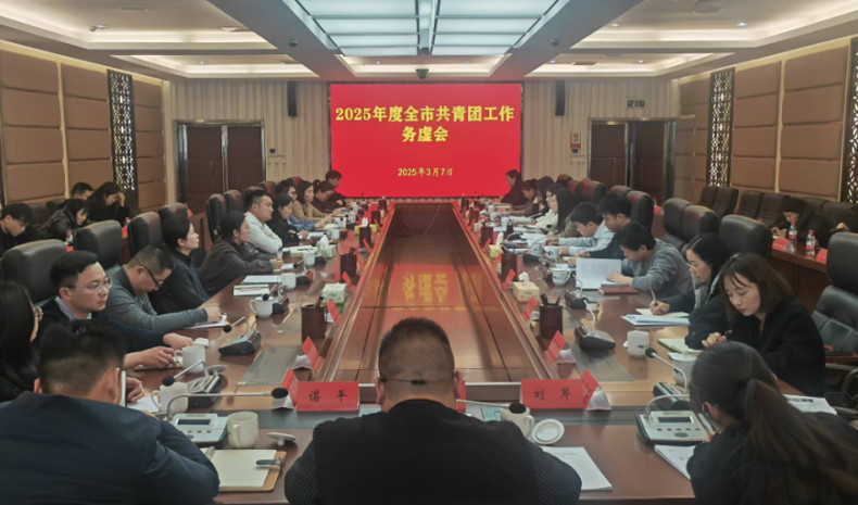 团市委召开2025年度全市共青团工作务虚会